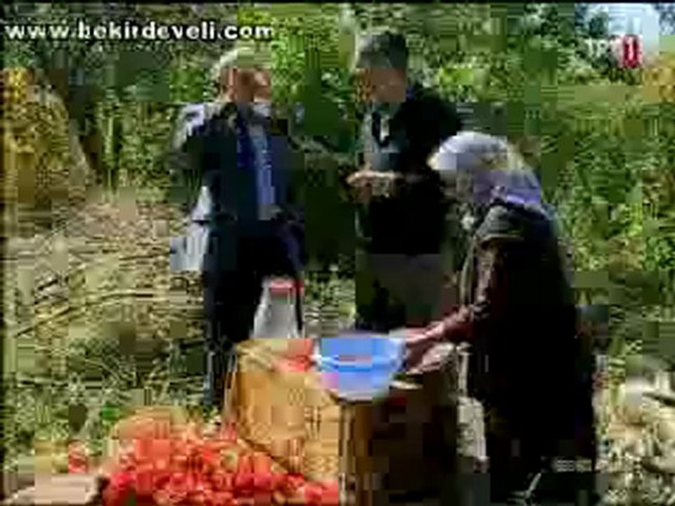 Bekir Develi - Gez Göz Arpacık - Kayseri/Develi - Girebolu Meyvesi