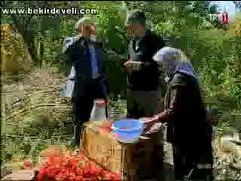 Bekir Develi - Gez Göz Arpacık - Kayseri/Develi - Girebolu Meyvesi