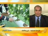 حديث الصباح : الزراعة المنزلية.. ازرع واقطف