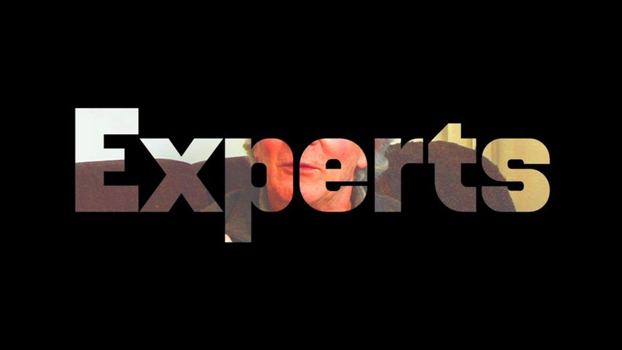 Experts - Michel Pinçon