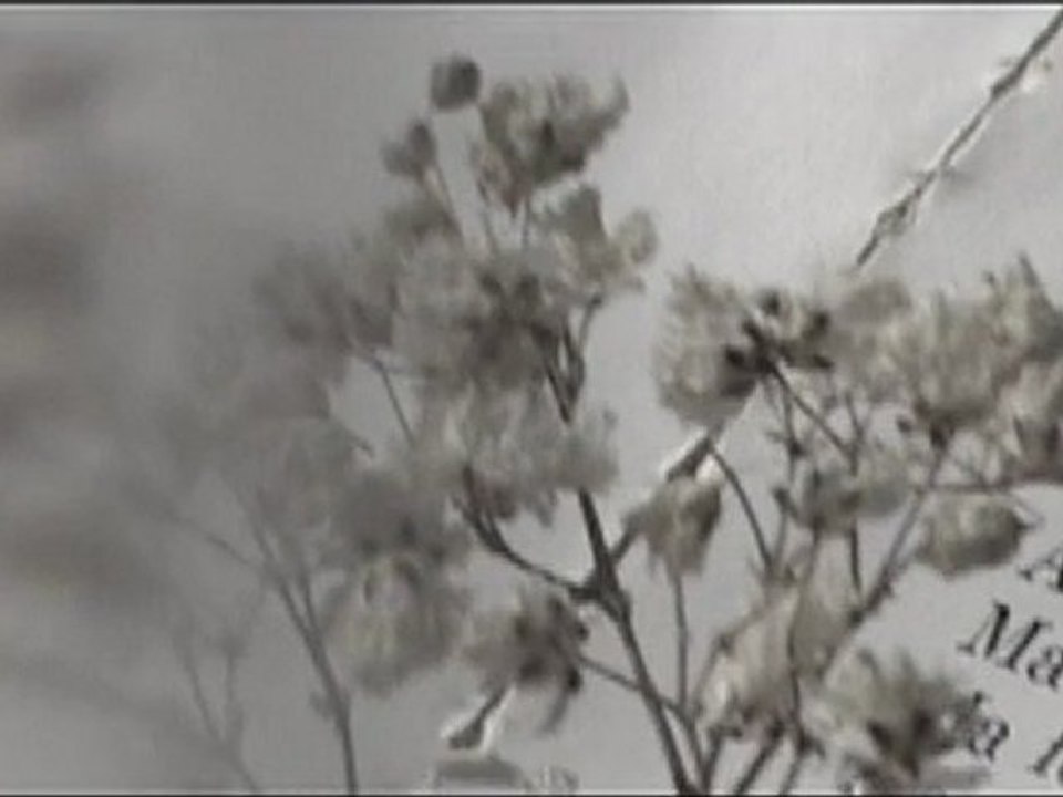 UN TEMPS SUSPENDU - FICTION