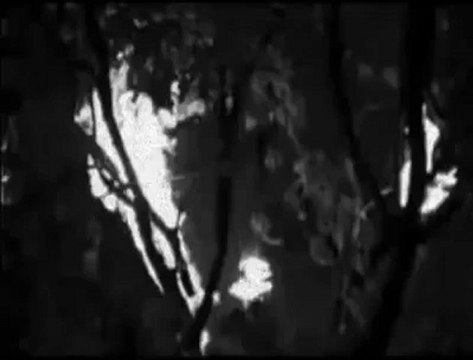 Seslisehirli.Com Nazlim OZLEDIM sENİ ozledım Seni nazlimmmm OZLEDIM nazlimmmm ozledım nazlimmm Kahraman Tazeoğlu - Gelirsem Biter Aşk - YouTube