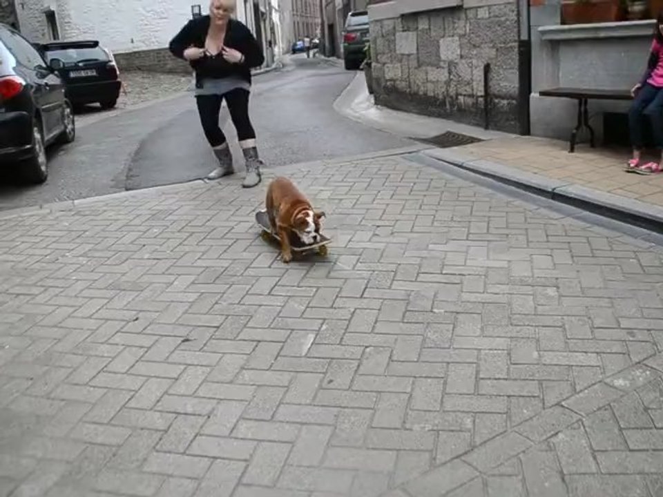 June , future skateuse pro !