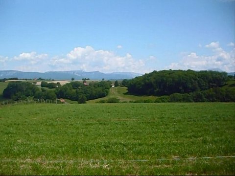 Avril/Mai 2012 - Début de travail en liberté avec Nanou ; Du n'importe quoi avec Thalia ; La bouille de Calyssandre... :)