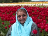 Tulip Festival With Mrs Zohra