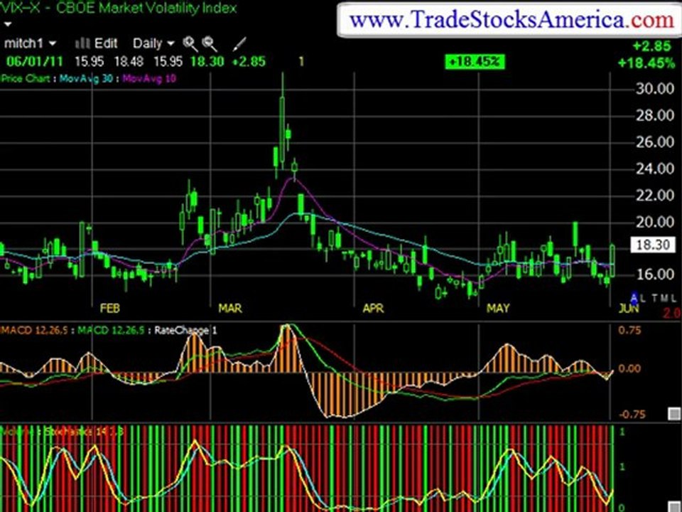 Stock Market Trading Courses