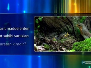 HAYAT VERME DELİLİ