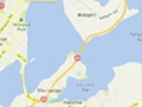 Pest control in Tauranga