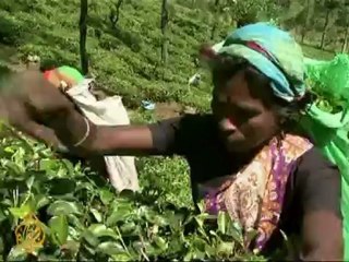 Tensions grow over Sri Lanka vote