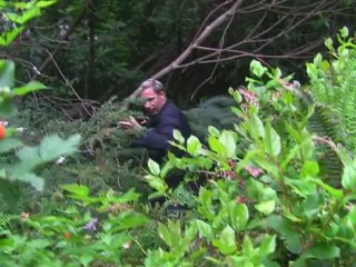 Searching for the dreaded Snakehead fish in Burnaby Lake BC Canada June 30th 2012