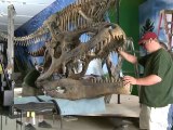 NewCa.com: Ultimate Dinosaurs: Final Installation of Giganotosaurus and Tyrannosaurus rex