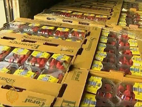 Israel allows limited Gaza exports
