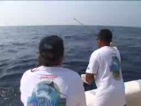 SFTV: Guatamala Pacific Fins Part 2