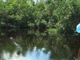 SFTV: Everglades Magic Part 3