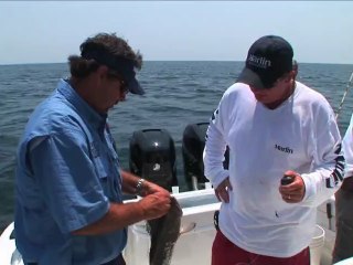 SFTV: Gulf Bottom Time Part 1