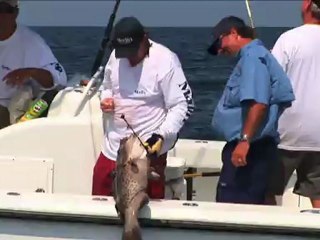 SFTV: Gulf Bottom Time Part 3