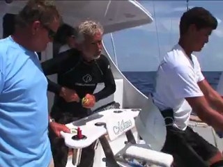 SFTV: Bermuda Tigers Part 1