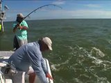 SFTV: Exploring Florida Bay Part 3