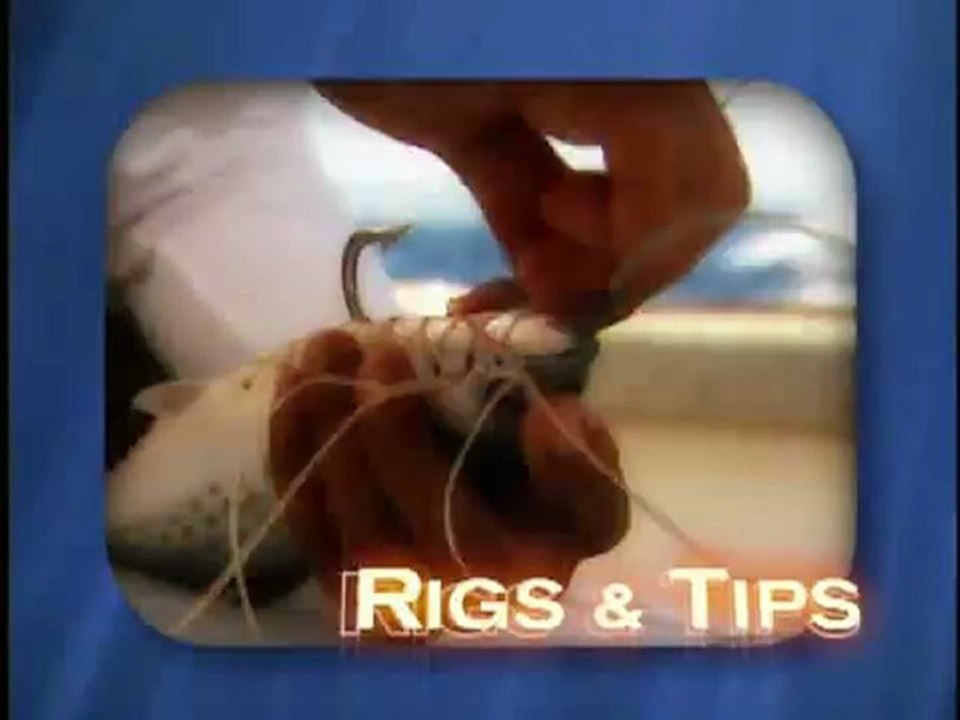 Chum Rigs for Sharks