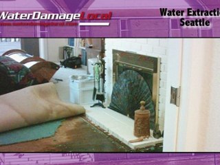 Seattle Water Extraction - Flood Remediation