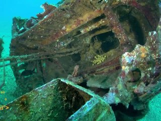 Démo images sous-marines