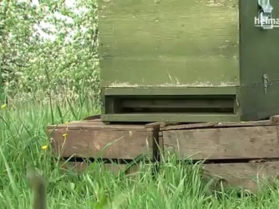 Altlaender honigspezialitaeten