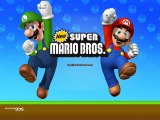 TAS New Super Mario Bros DS