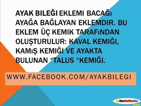 Ayak Bileği Ağrısı,Ayak Bileği Şişmesi,Ayak Bileği Egzersizleri,Ayak Bileği Burkulması