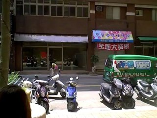 Mentally Handicapped Dogs