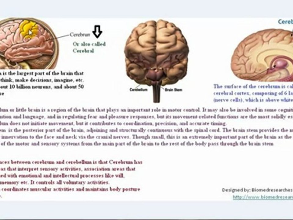 Understanding EEG Part3, What is electroencephalography (EEG)?