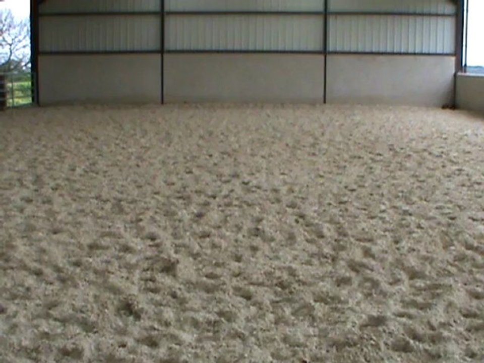 30.05.12 trot allongé M2U03243