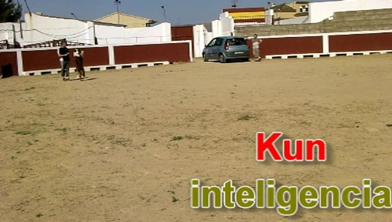 Kun se deja guiar...