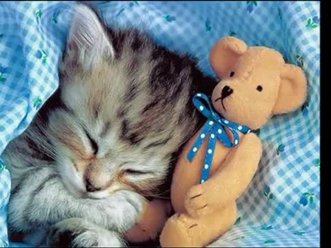 Henio.... Ja.Jestem Jaki Jestem.2012 Rok