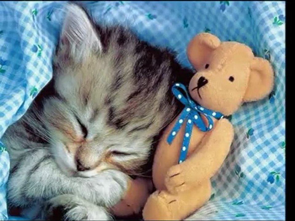 Henio.... Ja.Jestem Jaki Jestem.2012 Rok