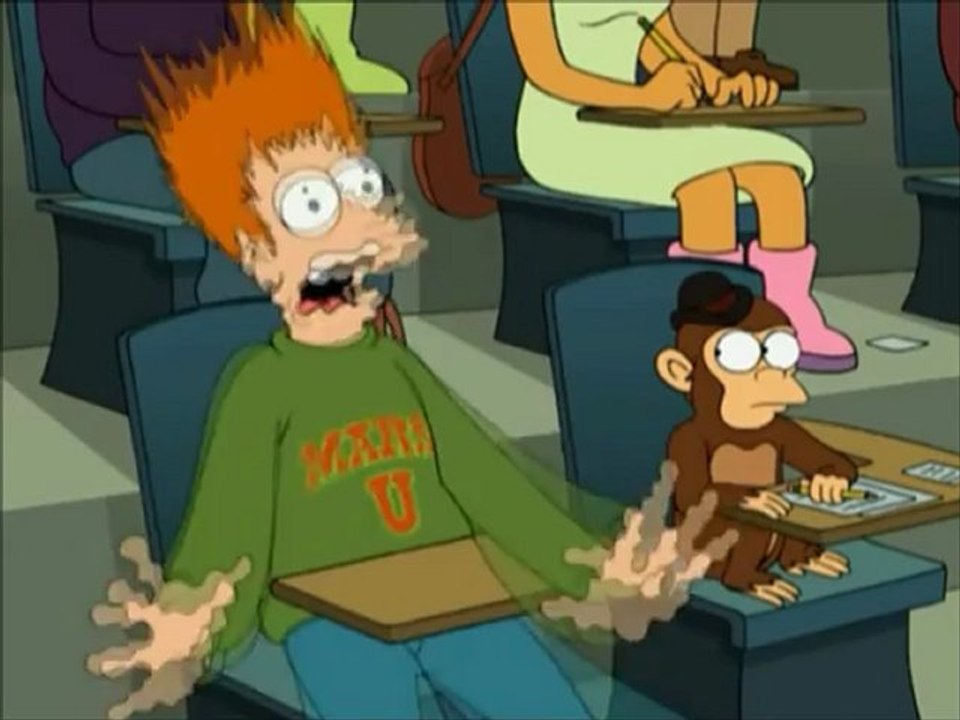 Fry - Bicota