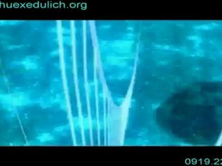 thuexedulich, thue xe du lich, thue xe du lich tphcm