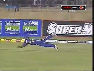 Amazing Catch From Thisara Perera