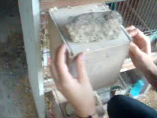 touche pas a mes enfants...