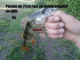 perche 21cm, leurre souple nokill