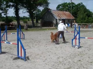 Bullit chez Alen Marekovic