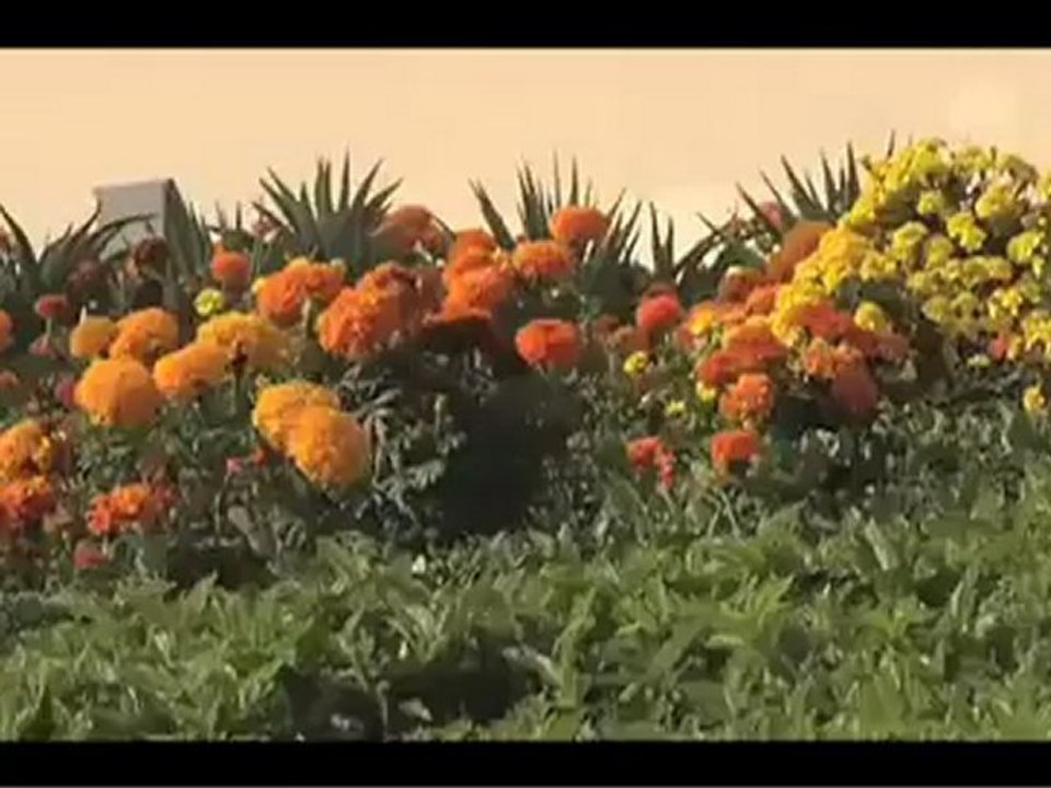 Test de Pirelli en Abu Dhabi