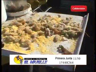 pasion por la pesca 03/05/2012 parte 3