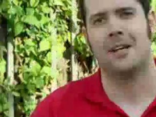 ¿Sirve un electrico para el uso diario?