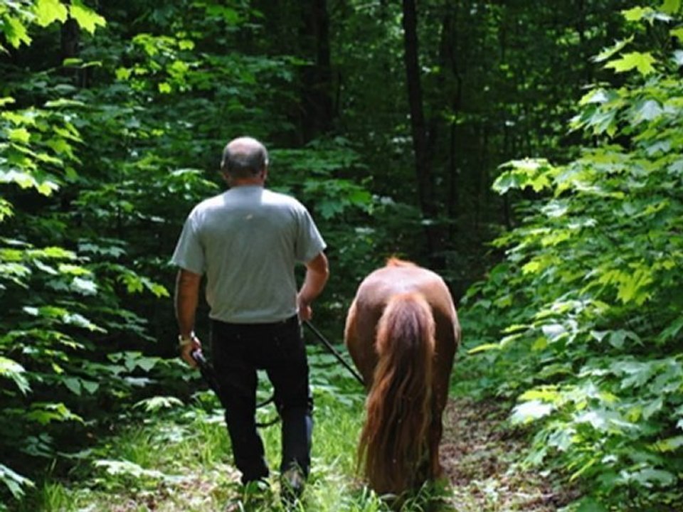 2012-06-01 4-Moyenne