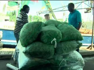 Alabama builds oil defences