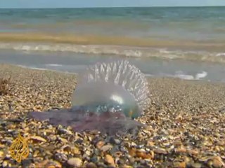 Fishermen await impact of Gulf oil leak