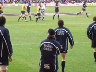 watch Australia vs Scotland rugby live online