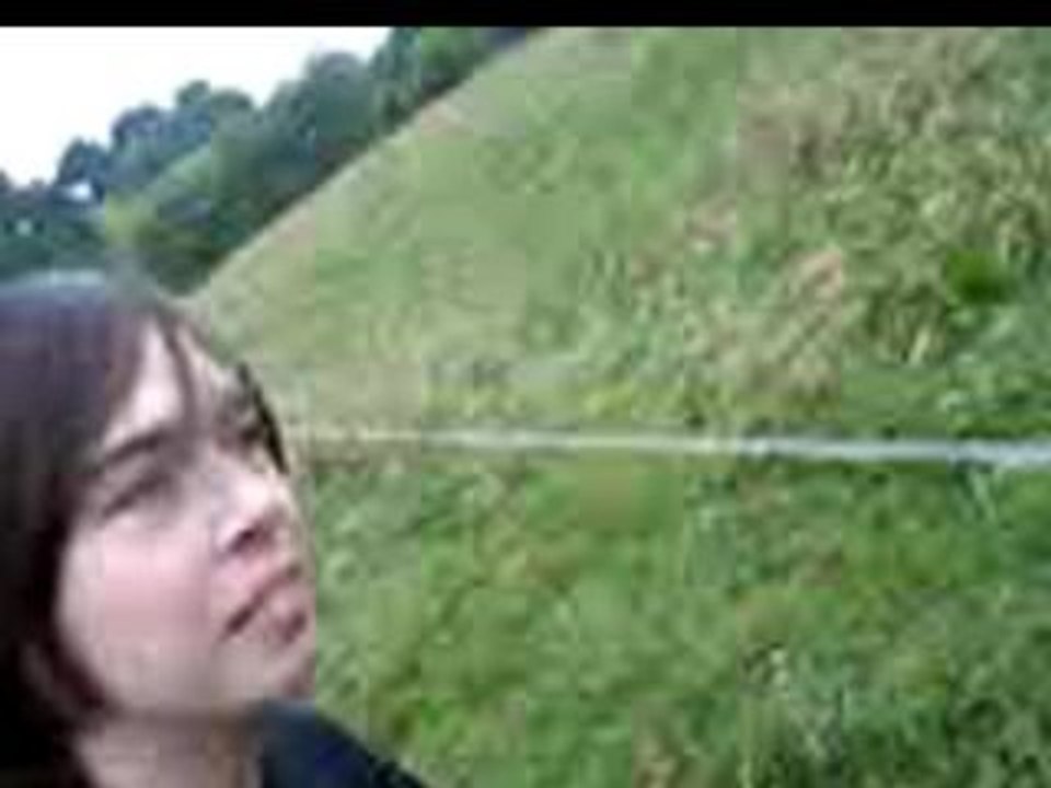 Luke - Electric Fence