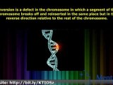 Types of Chromosome Mutations