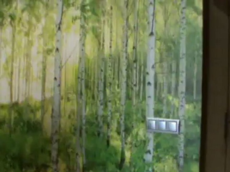 Iberostar Cala Barca Club Cala Mondrago Mallorca Schlagerreise 2012 Klaus Densow